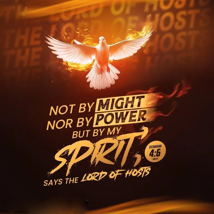 MY WORKS Best Digital Marketing Expert in Wayanad